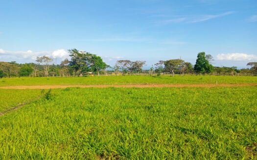 Lote 1,500 m² – Potrerillos Arriba, Chiriquí – MLS 23193