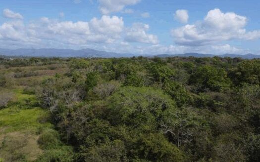Terreno en Las Garzas, Pacora en venta – MLS 22007