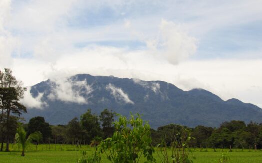 Lote 6059 m² – Potrerillos Arriba, Chiriquí – MLS 23190