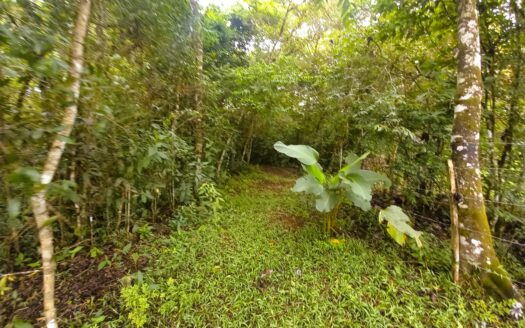 Lote 5,879 m² – Potrerillos Arriba, Chiriquí – MLS 23189