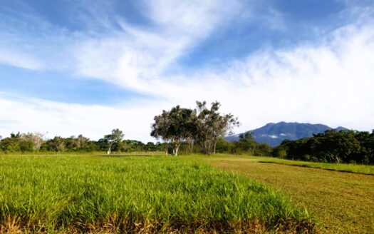 Lote 3124 m² – Potrerillos Arriba, Chiriquí – MLS 23191