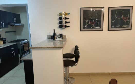 Alquiler de apartamento amoblado – MLS 23278