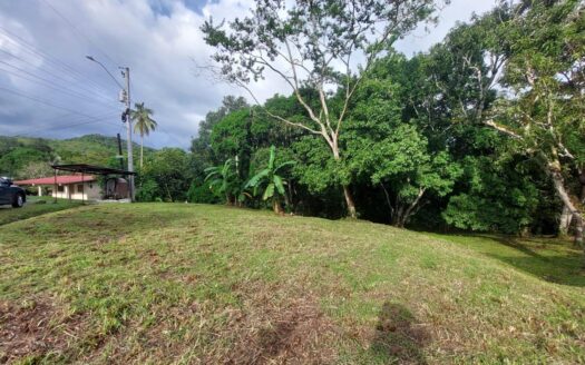 CASA DE CAMPO PARA REPARAR CON GRAN TERRENO – MLS 23277