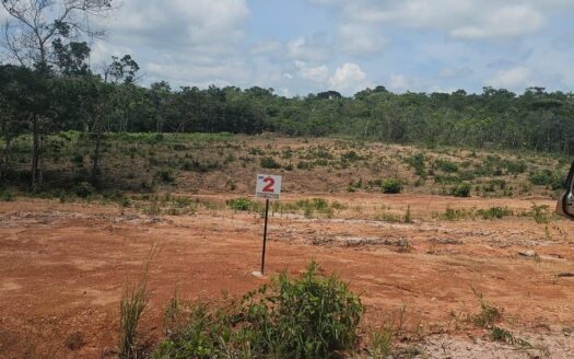 Venta de Lote en Penonomé – MLS 20536