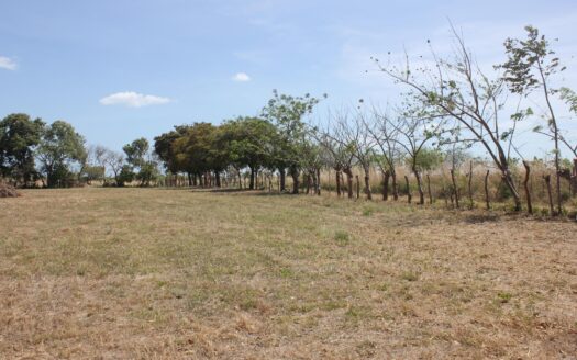 TERRENO EN VENTA – MLS 23274