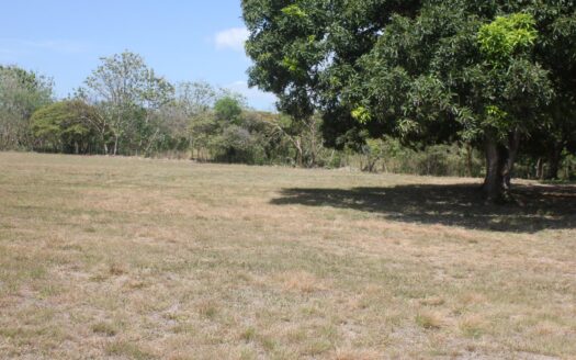 TERRENO EN VENTA – MLS 23274