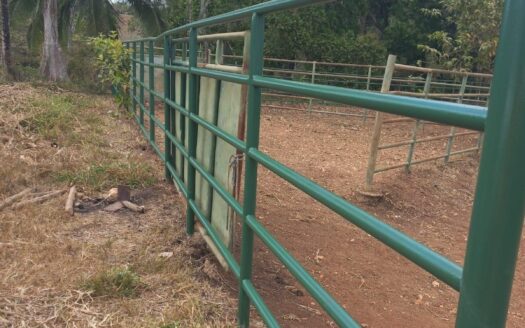 Finca Ganadera 99 Hectáreas – MLS 22229