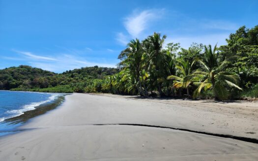 Lote de Playa en Isla Muertos – MLS 21908