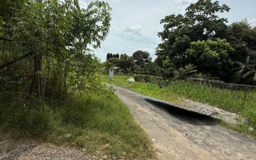 Terreno Las Lajas – MLS 23305