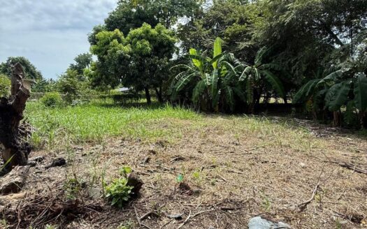 Terreno Las Lajas – MLS 23305