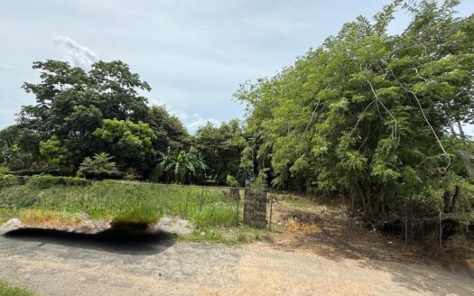 Terreno Las Lajas – MLS 23305
