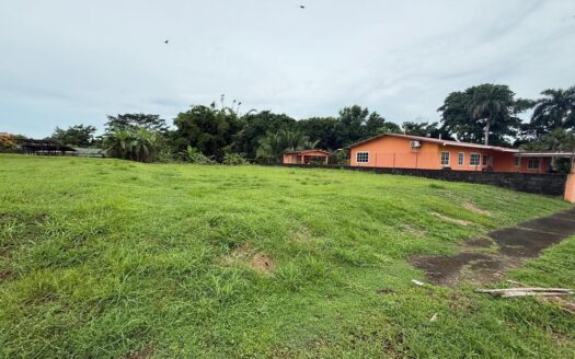 Terreno en Villa Zaita – MLS 23304