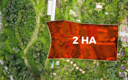 Venta de Terreno en Boquete – MLS 23115