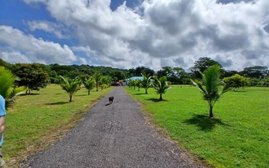 Finca bien concebida en una zona tranquila – MLS 23311