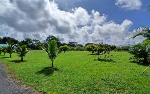 Finca bien concebida en una zona tranquila – MLS 23311