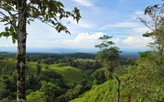 En Venta – Finca Agrícola de 65.9 Hectáreas en Boquerón, Las Monjas – MLS 23316