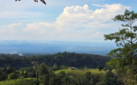 En Venta – Finca Agrícola de 65.9 Hectáreas en Boquerón, Las Monjas – MLS 23316