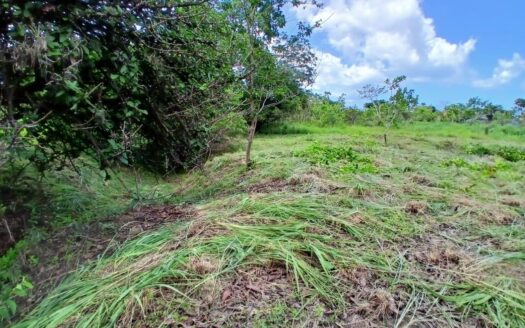 Terreno en la Interamericana Punta Barco en Alquiler – MLS 23332