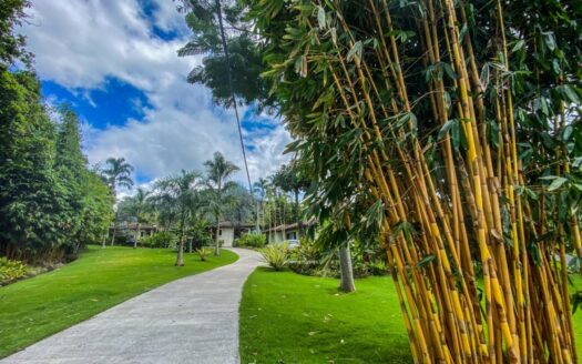 Casas y Propiedades de Inversión en Boquete – MLS 23342