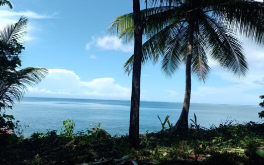 Terreno 69 hectareas en Puerto Armuelles, Limones Oportunidad de Inversión – MLS 23133