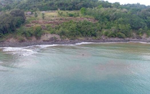 Terreno de 4 ha con teca, frente al mar, Puerto Armuelles – MLS 23363
