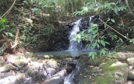 Terreno de 95 ha con bosque primario – MLS 22976
