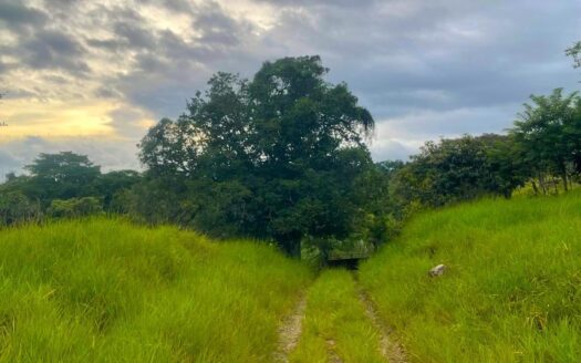Se vende finca en Tinajas, Dolega – 2.23 hectáreas – MLS 23376