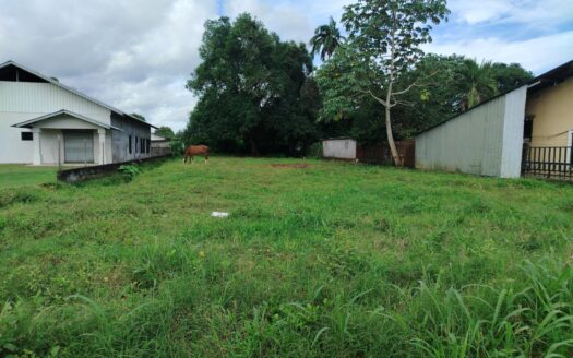 Lote de 990 m² en Zona de Alta Circulación David – MLS 23131