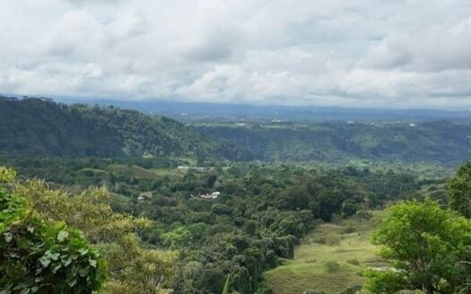 Finca de agroturismo de 72 ha cerca a Frontera Panamá–Costa Rica – MLS 23157
