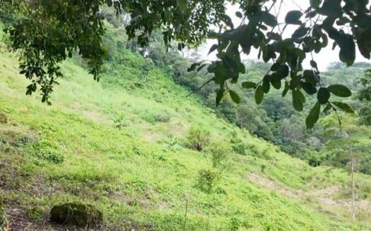 Finca de agroturismo de 72 ha cerca a Frontera Panamá–Costa Rica – MLS 23157
