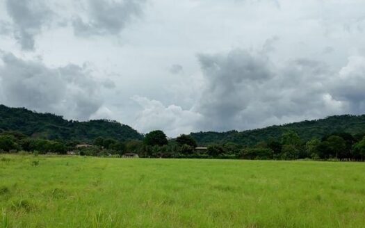 Terreno en Venta en David, Chiriquí, 1.51 HA con Frente a Vía principal – MLS 23156