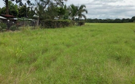 Terreno en Venta en David, Chiriquí, 1.51 HA con Frente a Vía principal – MLS 23156