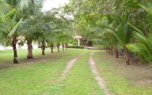 Venta de Casa con Terreno en Coloncito, Chame – MLS 23169