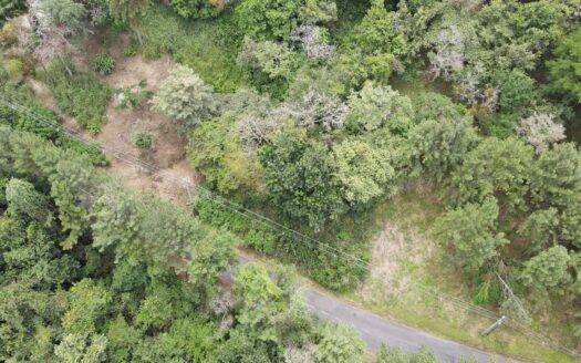Lote en Altos del María en Ganga – MLS 23159