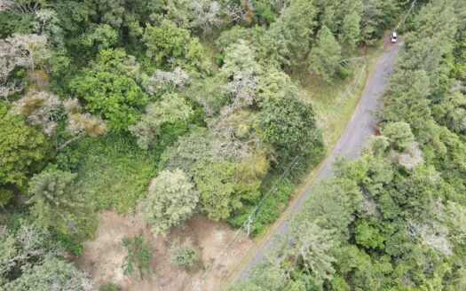 Lote en Altos del María en Ganga – MLS 23159