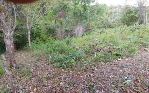 Se Vende Casa en Quintas del Pacífico. – MLS 21900