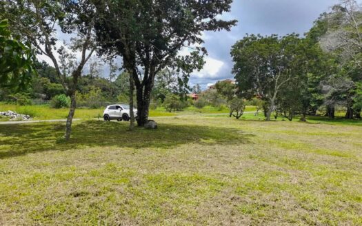 Lote en Venta en Vía Palmira, Alto Boquete – MLS 23124