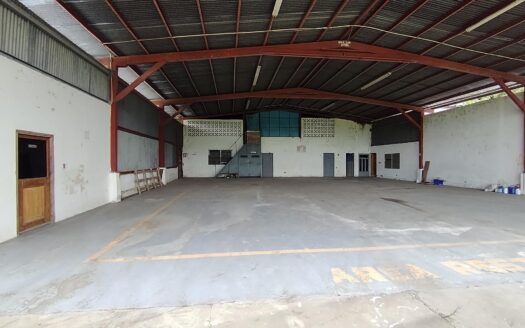 Galera con 1 hectarea, Coquito, David – MLS 23544