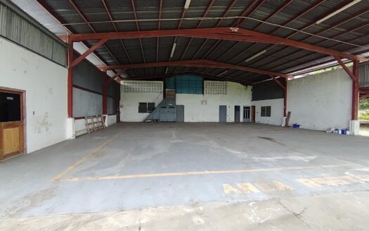 Galera con 1 hectarea, Coquito, David – MLS 23544