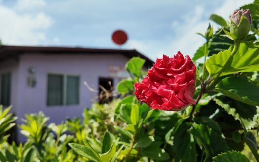 Propiedad Comercial de esquina en el centro de Boquete – MLS 23522