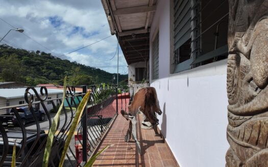 Propiedad Comercial de esquina en el centro de Boquete – MLS 23522