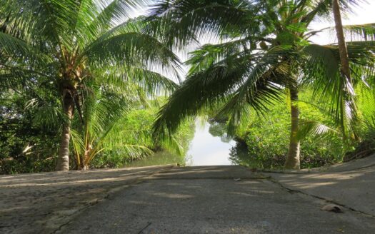 Península con casa y acceso al mar – MLS 23882