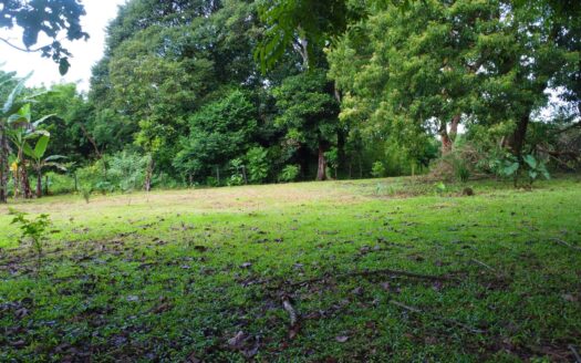 Lote Plano de 2,158 m2 en El Frances Boquete – MLS 23660