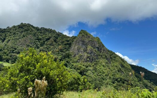 Finca en venta en Chicá, Chame – MLS 21006