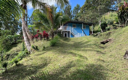 11 hectáreas de terreno orgánico en venta – MLS 23700