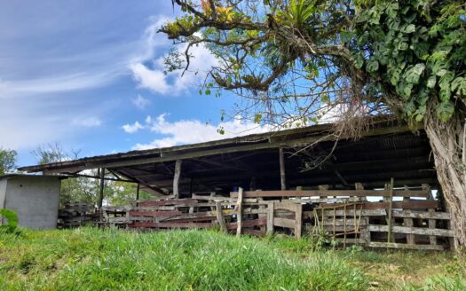 Amplia propiedad de 146.652 ha con fuentes de agua – MLS 23701