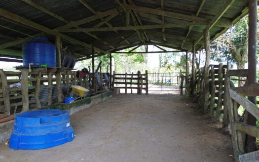 Amplia propiedad de 146.652 ha con fuentes de agua – MLS 23701