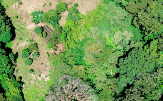 Finca de Café en Venta – Los Naranjos, Boquete – MLS 23710