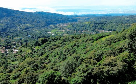 Finca de Café en Venta – Los Naranjos, Boquete – MLS 23710