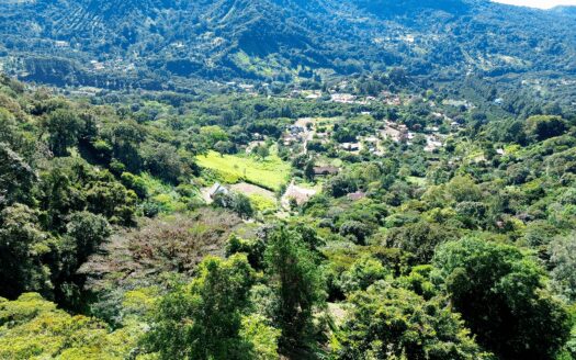 Finca de Café en Venta – Los Naranjos, Boquete – MLS 23710